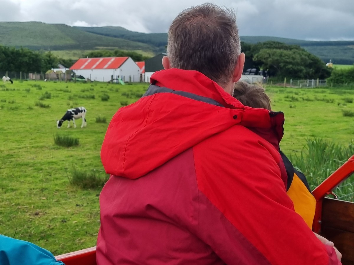 The Friendliest Little Pet Farm in Co.&nbsp;Kerry.