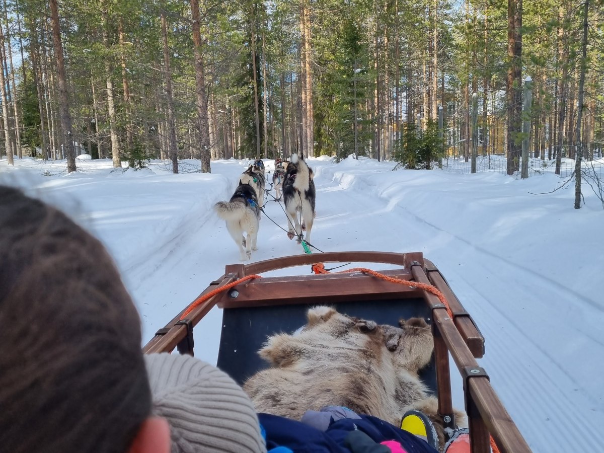 Lapland on a budget – In 5 simple&nbsp;steps